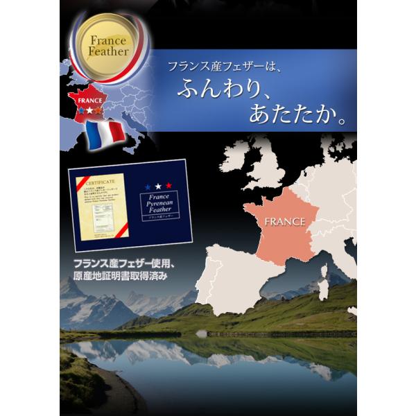 羽根布団10点セット ベッドタイプ クイーン10点セット フランス産フェザー