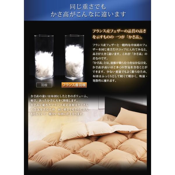 羽根布団10点セット ベッドタイプ クイーン10点セット フランス産フェザー