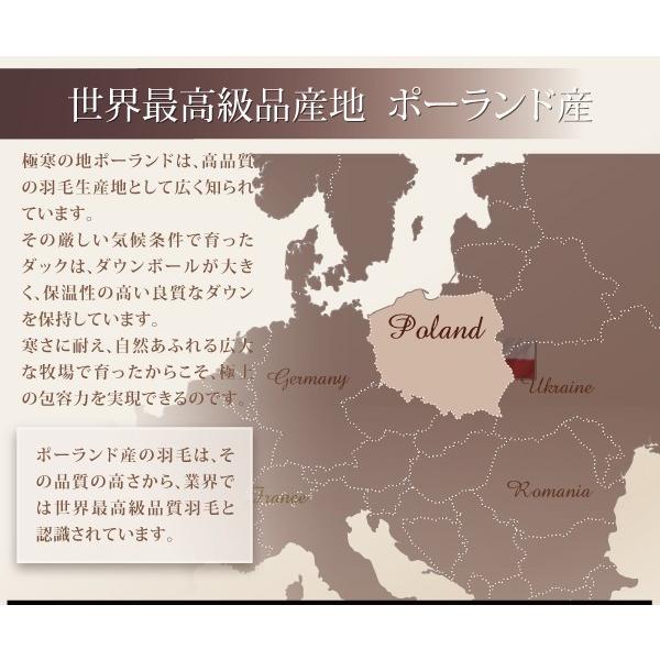 羽毛布団 キング10点セット ベッドタイプ ポーランド産 ホワイトダック90% ロイヤルゴールドラベル