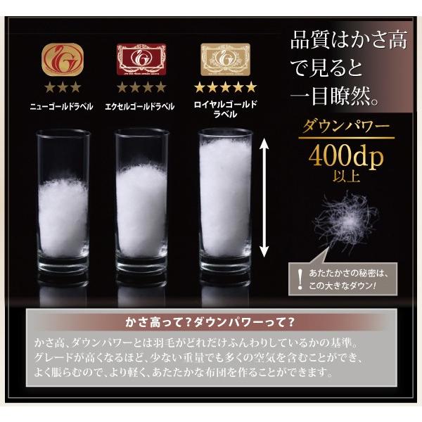 羽毛布団 キング10点セット ベッドタイプ ポーランド産 ホワイトダック90% ロイヤルゴールドラベル