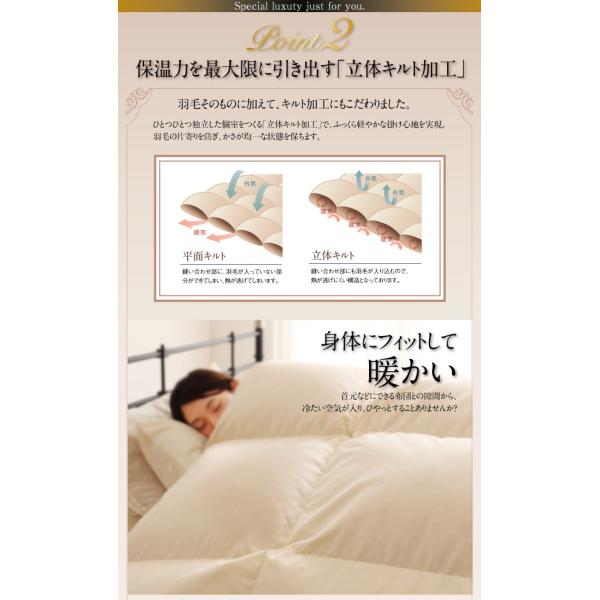 羽毛布団 キング10点セット ベッドタイプ ポーランド産 ホワイトダック90% ロイヤルゴールドラベル
