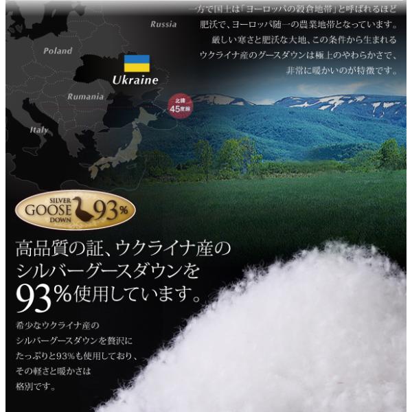 羽毛布団 8点セット 日本製 ウクライナ産ロイヤルゴールドラベル 和タイプ グースダウン93% セミダブル