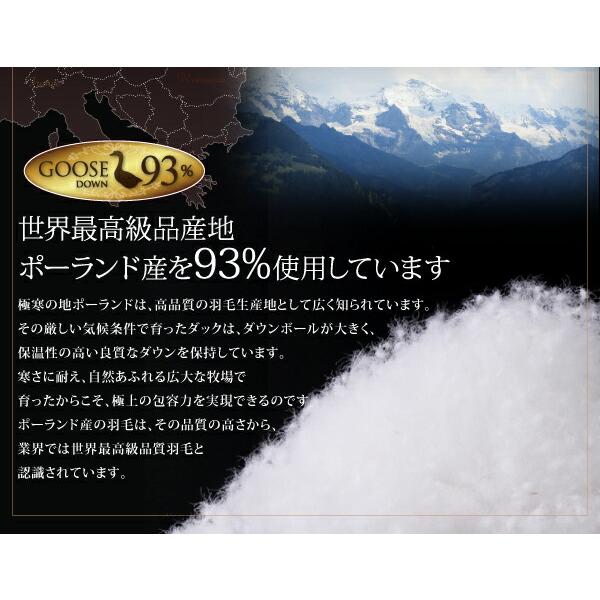 羽毛布団 キング10点セット ポーランド産グースダウン93% プレミアムゴールドラベルベッドタイプ