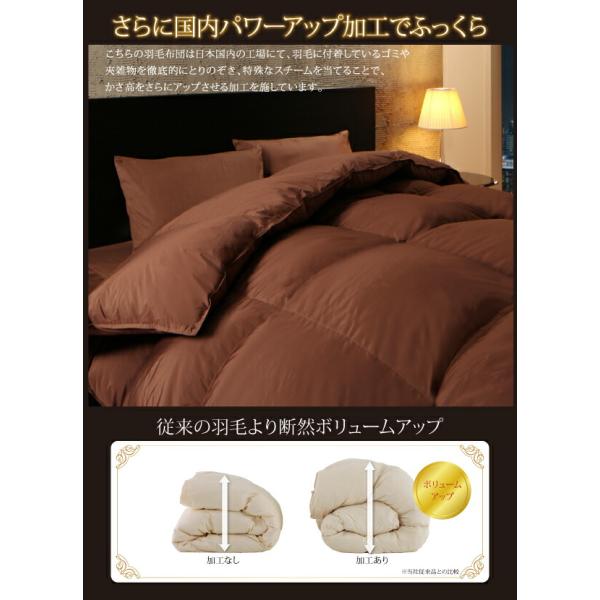 羽毛布団 キング10点セット ポーランド産グースダウン93% プレミアムゴールドラベルベッドタイプ