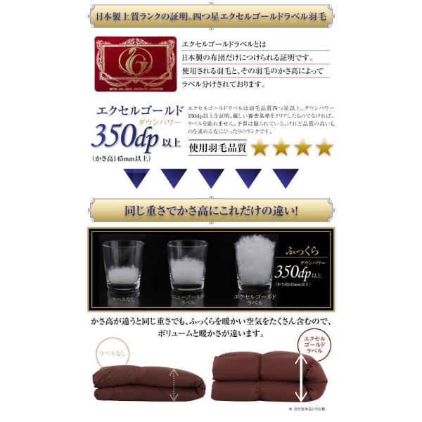 羽毛掛布団 キング 日本製 防カビ消臭 エクセルゴールドラベルフランス産ダックダウン90％