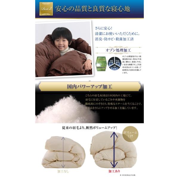 羽毛掛布団 キング 日本製 防カビ消臭 エクセルゴールドラベルフランス産ダックダウン90％