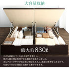 ガス圧式跳ね上げ畳ベッド 中国産畳 シングル 深さラージ組立設置付 日本製