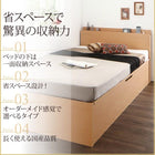 ベッド フランスベッドマットレス付き マルチラススーパースプリング 横開き 組立設置付 深さレギュラー ベッド 跳ね上げ収納