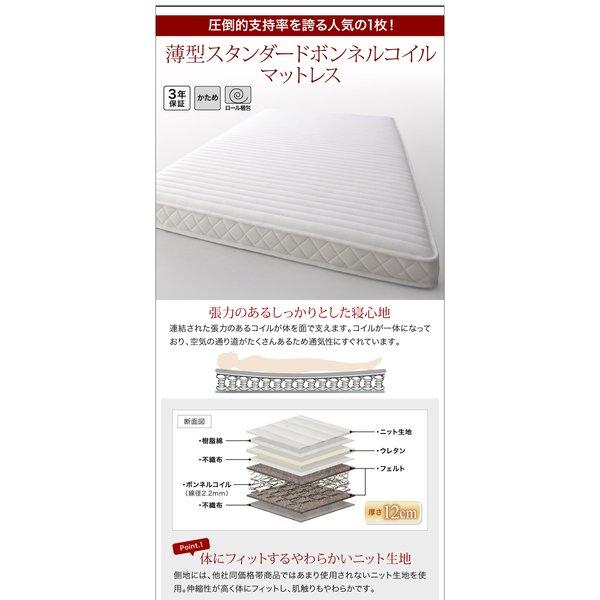 すのこベッド 組立設置付 大容量収納庫付き 薄型抗菌国産ポケットコイル セミダブル 深さラージ