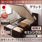 ベッド セミシングル ベッド 跳ね上げ 収納 薄型スタンダードボンネルコイル 縦開き 深さグランド 組立設置付