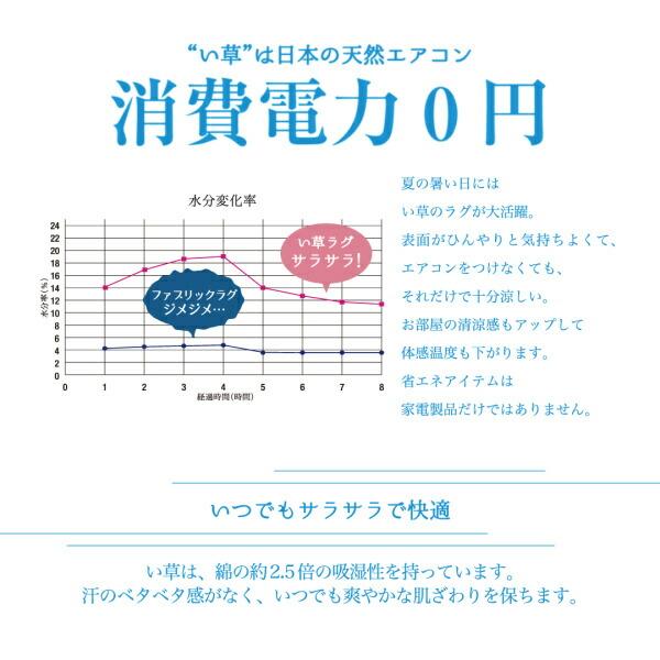 国産デザインい草ラグ 不織布あり 191×191cm 自然素材ラグ 掛川織