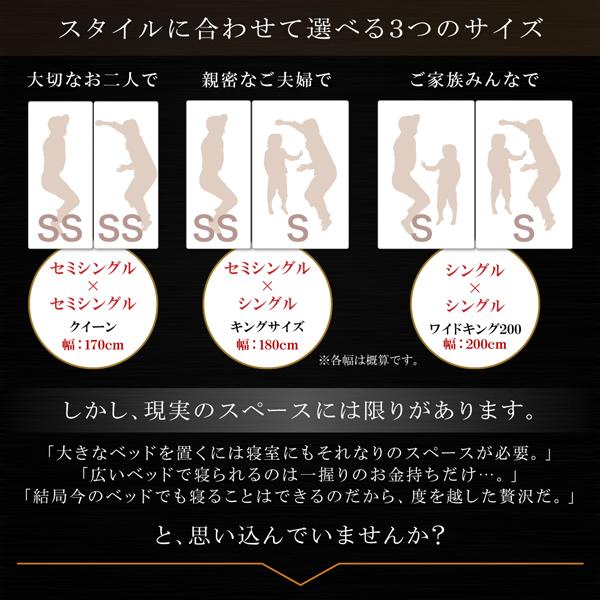 ガス式 ベッド 収納 跳ね上げ クイーン SS×2 薄型プレミアムボンネルコイル 縦開き 深さレギュラー お客様組立