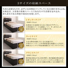 ガス式 ベッド 収納 跳ね上げ クイーン SS×2 薄型プレミアムボンネルコイル 縦開き 深さラージ お客様組立