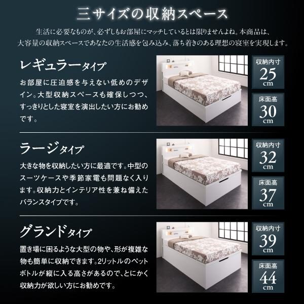 収納ベッド クイーン SS×2 深さラージ フランスベッド マルチラススーパースプリングマットレス付 跳ね上げベッド 深型 連結 コンセント付 縦開