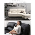 ハイバックソファ レザータイプ ソファ 2P 日本の家具メーカー