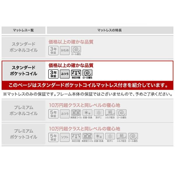 収納ベッド ダブル マットレス付き コンセント付き スタンダードポケット付き