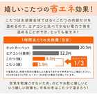こたつ掛布団&敷布団2点セット 4尺長方形 80×120cm 天板対応 丸洗い フランネル裏地