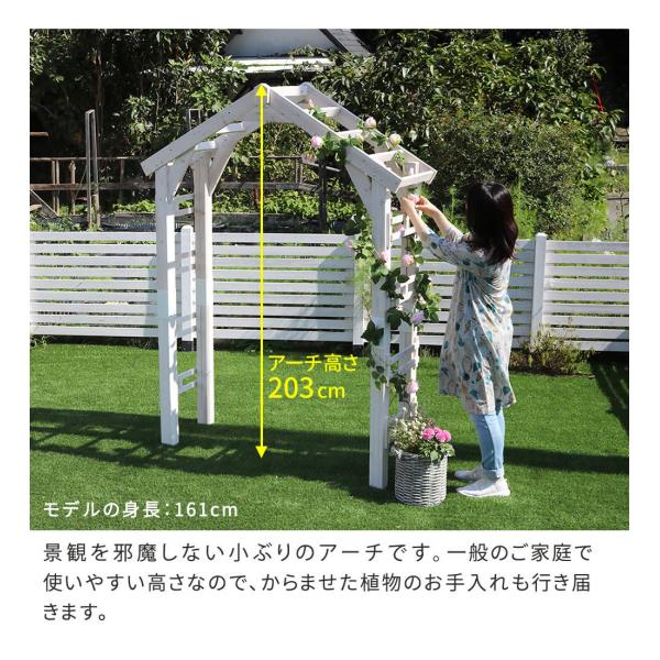 lanran_tr-2100_4.jpg?v=1709832276