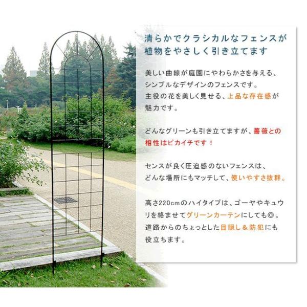 ガーデンフェンス アイアンフェンス220(2枚組) フェンス diy 簡単 安い