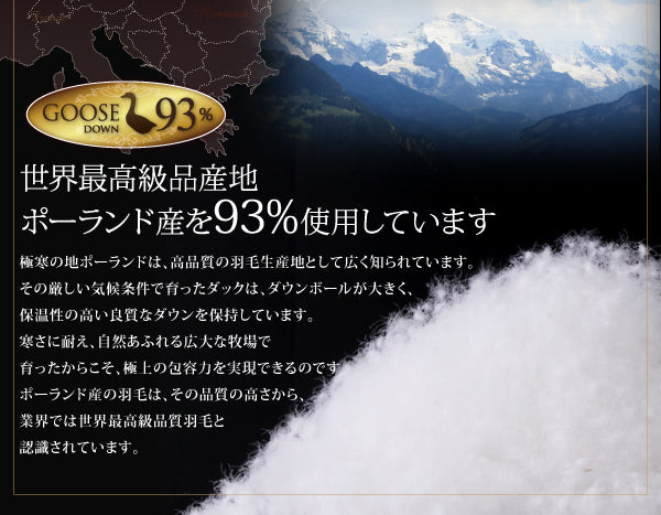 来客用布団 セミダブル 羽毛布団 8点セット ポーランド産グースダウン93% 和タイプ