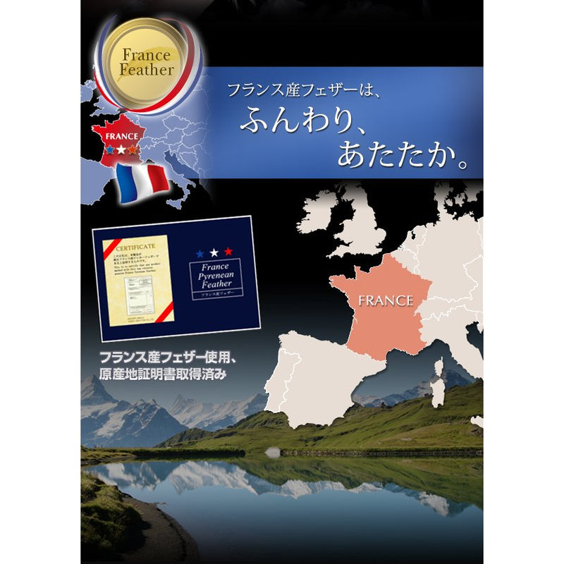 羽根布団8点セット ベッドタイプ セミダブル8点セット フランス産フェザー