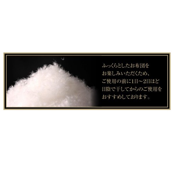 羽毛布団 キング ベッドタイプ 10点セット 日本製 防カビ 消臭 フランス産 エクセルゴールドラベル