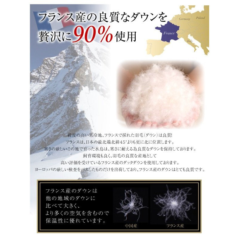 羽毛掛布 単品 セミダブル 洗える フランス産ダックダウン90％ 日本製 防カビ消臭