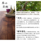 ダイニング 3点セット(テーブル+チェア2脚) W150 天然木 ウォールナット無垢材